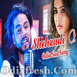 Shehzadi O (Manas Kumar) Odia Song